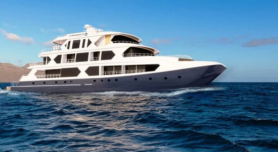boat-cormorant2-001