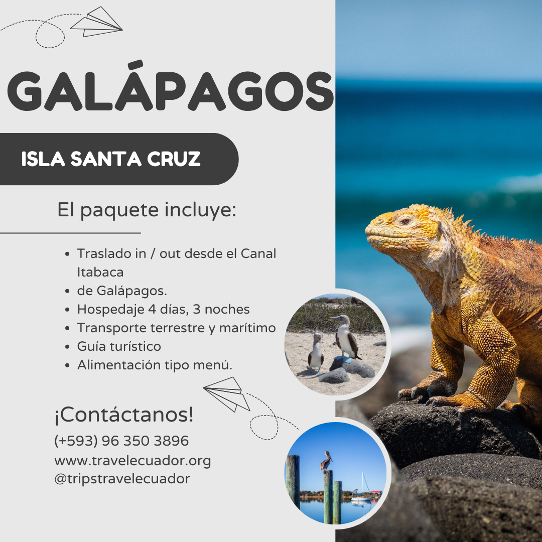 Promocion Galápagos